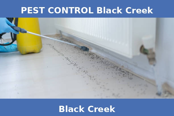PEST CONTROL Black Creek